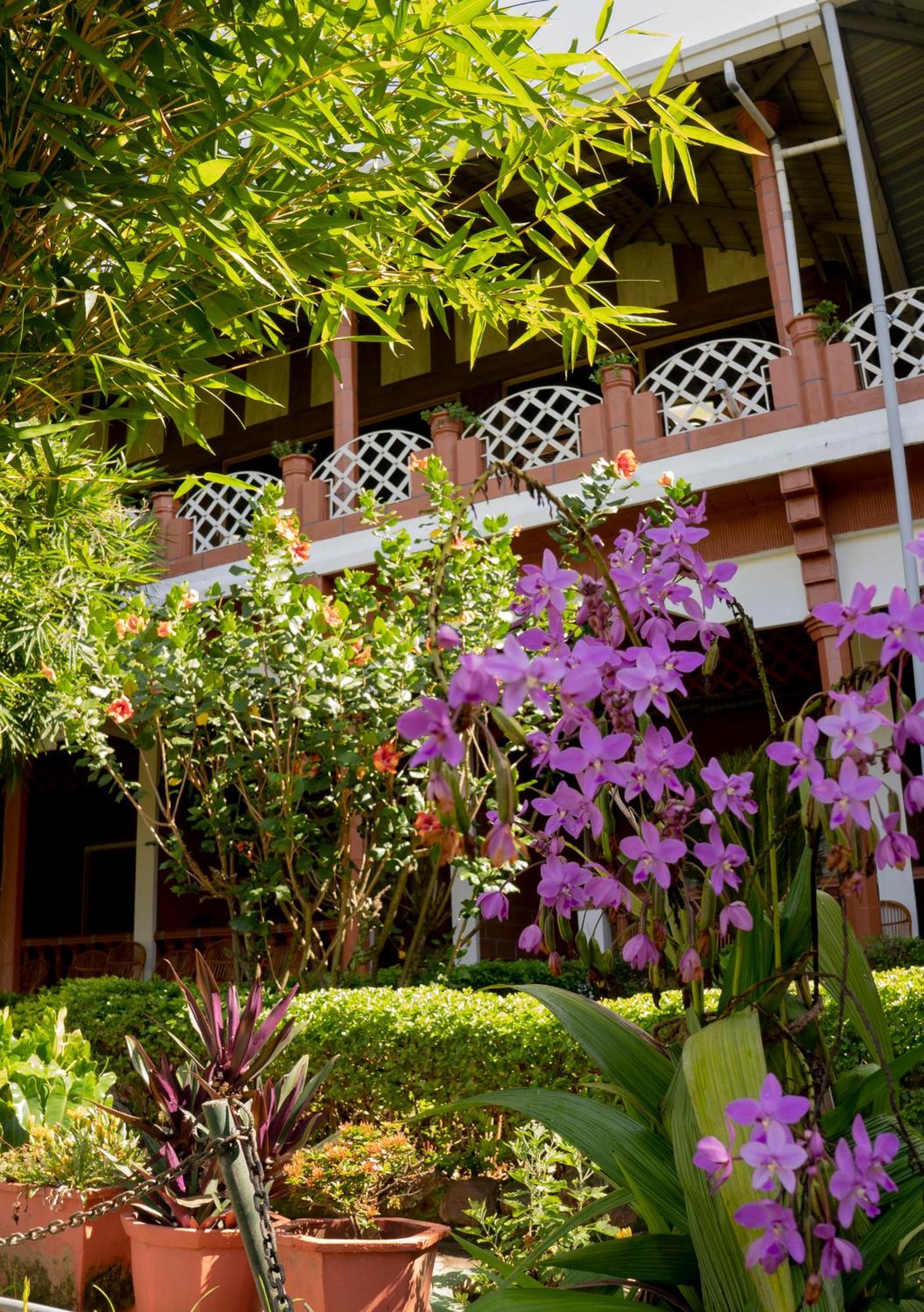 מסינאגודי The Nest Inn Resort מראה חיצוני תמונה